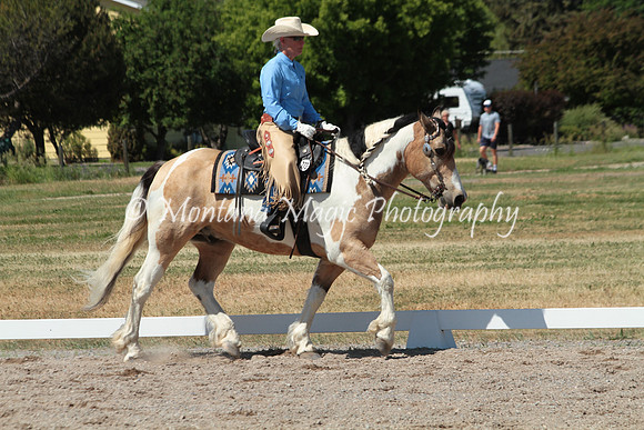 Cowboy_0355