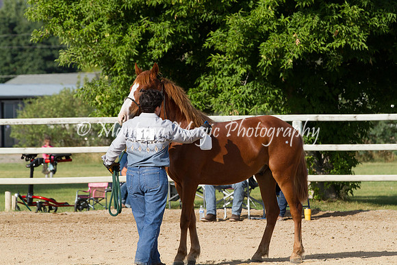 Entry #12_5848