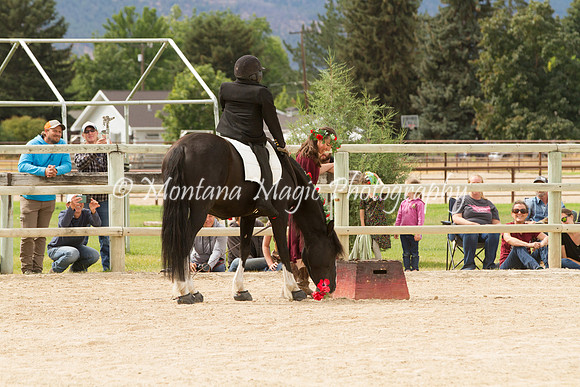 Entry #5_6596