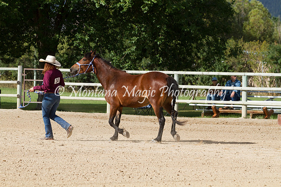 Entry #14_6055