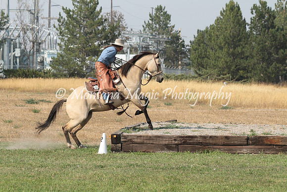 Dash N Scotty Sage_8697