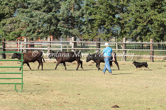 Aries_9572