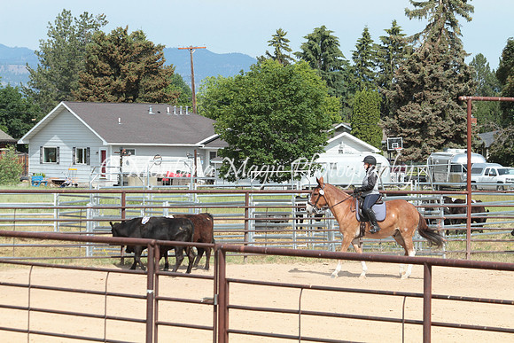 Knightstown Casey_1434