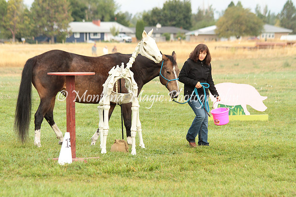 Roxie_0742