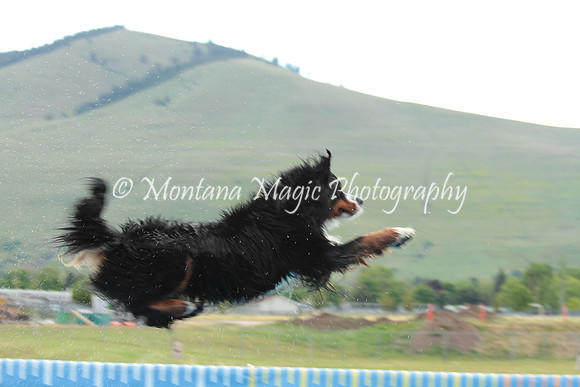 Chase_4953
