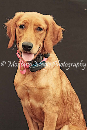 Lola_0581