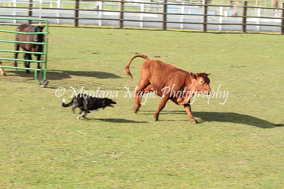 Josie_1846