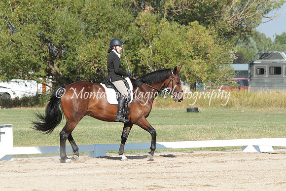 Fairsing Moondance_7783