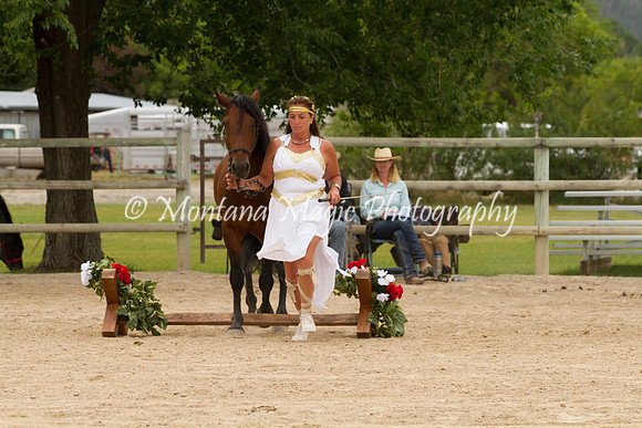 Entry #15_6618
