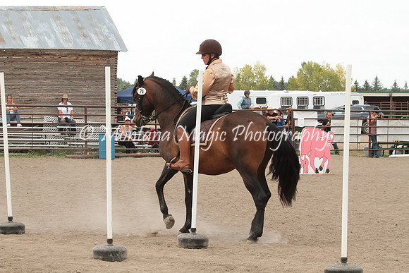 CDC Baby Boy Oro_4799