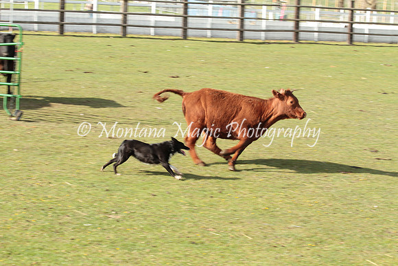 Josie_1847