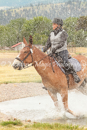 Knightstown Casey_1614