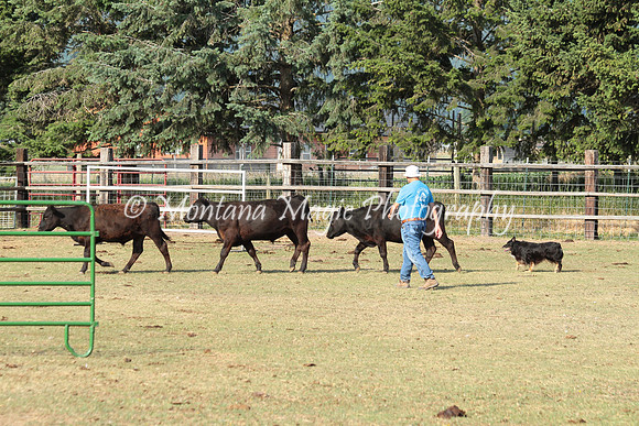 Aries_9573
