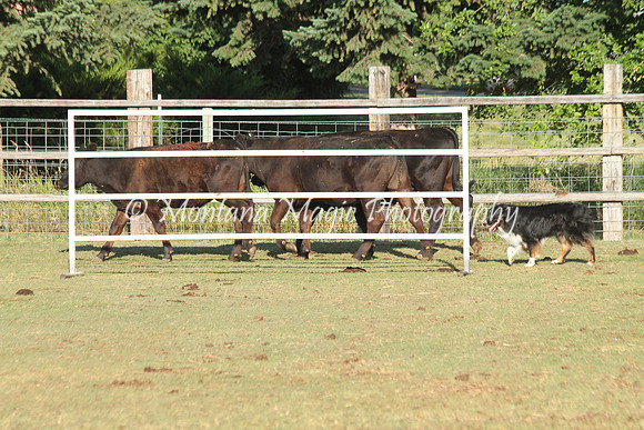 Nash_9489
