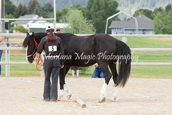 Entry #5_6285
