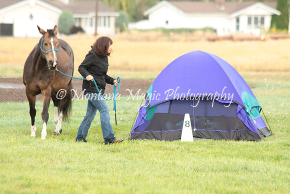 Roxie_0730