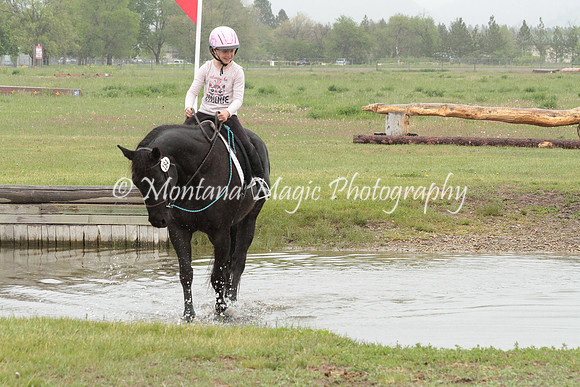 Air Horse One_2963