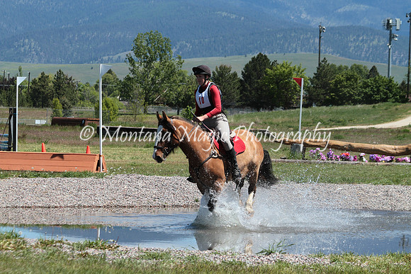 Arnie There Yet_1134