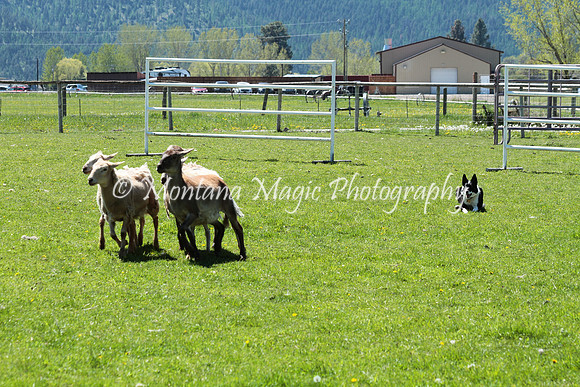 Minnie Pearl_8048