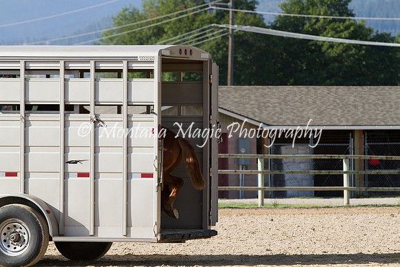 Entry #12_5865