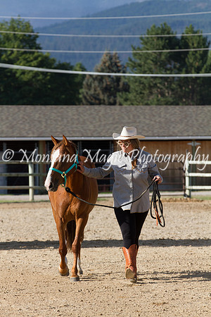Entry #13_5833