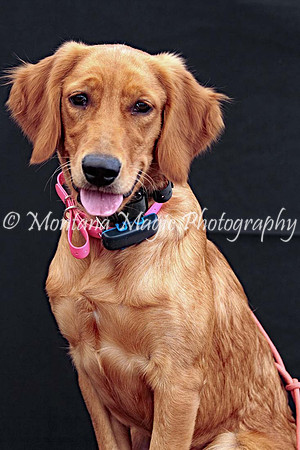 Lola_0579