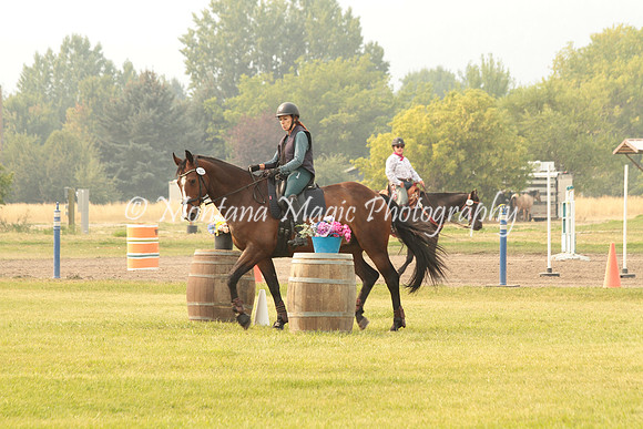 Fairsing Moondance_9709
