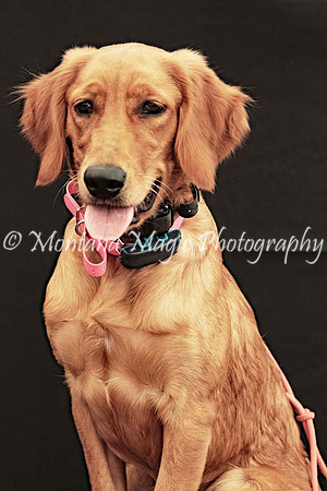 Lola_0576