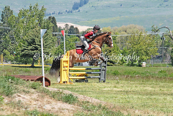 Arnie There Yet_1123