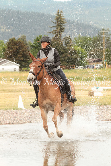 Knightstown Casey_1611