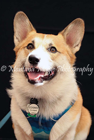Cosmo_0388