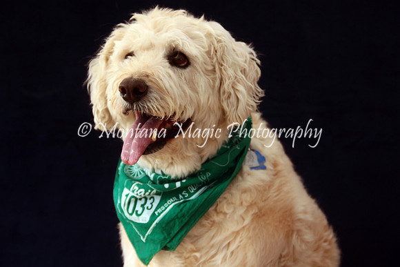 Baxter_9596